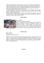 Nykstantys pasaulio vandens gyvūnai 8 puslapis