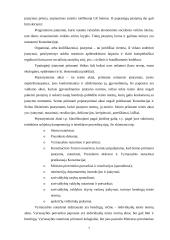 Norminiai teisės aktai 5 puslapis