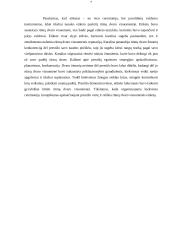 Esė iš knygos Norbert Elias „Rūmų dvaro visuomenė“ 7 puslapis