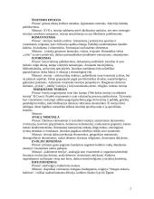 Neoevoliucionizmas 2 puslapis