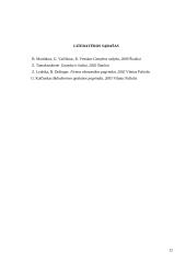 Nuosavo kapitalo ir įsipareigojimų apskaita 12 puslapis