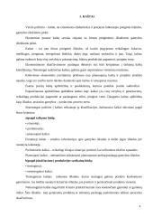 Nuosavo kapitalo ir įsipareigojimų apskaita 4 puslapis