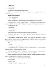 Nuosavo kapitalo ir įsipareigojimų apskaita 5 puslapis