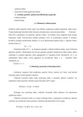 Nuosavo kapitalo ir įsipareigojimų apskaita 6 puslapis