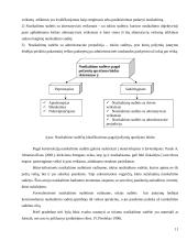 Nusikaltimo sąvoka, struktūra, klasifikavimas 11 puslapis