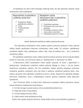 Nusikaltimo sąvoka, struktūra, klasifikavimas 7 puslapis