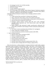 Ontologijos ir ontologijų sistemos 4 puslapis