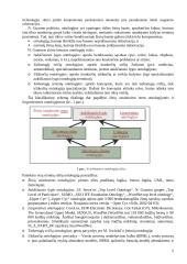 Ontologijos ir ontologijų sistemos 5 puslapis