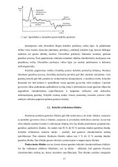 Organizacijos blogos kokybės priežasčių analizė: papildomos laiko, darbo, materialiosios sąnaudos ar nauda 12 puslapis