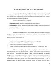 Paauglių grupės, statusas klasėje ir jų tarpusavio santykiai 4 puslapis