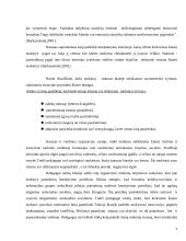 Paauglių grupės, statusas klasėje ir jų tarpusavio santykiai 8 puslapis