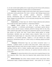 Paauglių grupės, statusas klasėje ir jų tarpusavio santykiai 10 puslapis