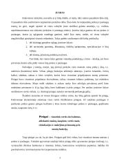 Pagrindinės pasaulio valiutos ir jų raida 3 puslapis