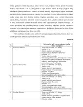 Pagrindinės verslo organizavimo formos ir jų reikšmė Lietuvos ekonomikai 10 puslapis