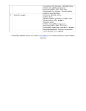 Pagrindinės verslo organizavimo formos ir jų reikšmė Lietuvos ekonomikai 11 puslapis