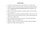 Pagrindinės verslo organizavimo formos ir jų reikšmė Lietuvos ekonomikai 13 puslapis