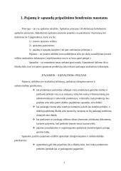 Pajamų ir sąnaudų formavimas 4 puslapis