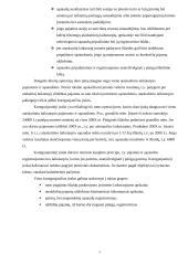 Pajamų ir sąnaudų formavimas 5 puslapis