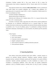 Pajamų ir sąnaudų formavimas 7 puslapis