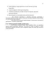 Pajamų nelygybė ir jos reguliavimas 11 puslapis