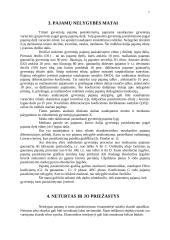 Pajamų nelygybė ir jos reguliavimas 7 puslapis