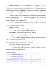 Pajamų pripažinimo atvejų analizė 17 puslapis