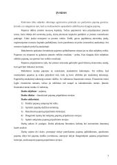 Pajamų pripažinimo atvejų analizė 2 puslapis