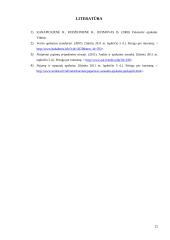 Pajamų pripažinimo atvejų analizė 20 puslapis