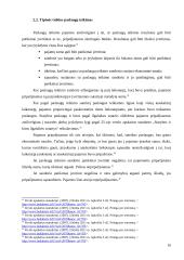 Pajamų pripažinimo atvejų analizė 9 puslapis