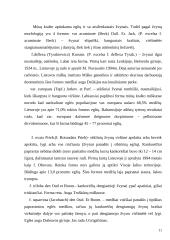 Paprastoji ir baltoji eglė bei paprastasis kaštonas 11 puslapis
