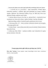 Paprastoji ir baltoji eglė bei paprastasis kaštonas 12 puslapis