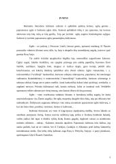Paprastoji ir baltoji eglė bei paprastasis kaštonas 3 puslapis