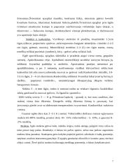 Paprastoji ir baltoji eglė bei paprastasis kaštonas 7 puslapis