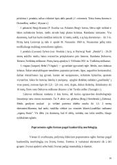 Paprastoji ir baltoji eglė bei paprastasis kaštonas 10 puslapis