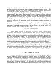 Pareiga ir pareigingumas 7 puslapis