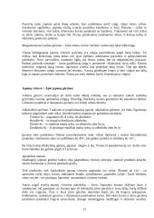 Pasaulio virtuvių ypatumai 11 puslapis