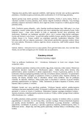 Pasaulio virtuvių ypatumai 12 puslapis