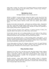 Pasaulio virtuvių ypatumai 15 puslapis