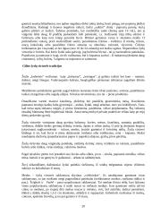 Pasaulio virtuvių ypatumai 20 puslapis