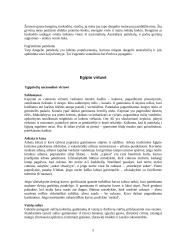 Pasaulio virtuvių ypatumai 5 puslapis