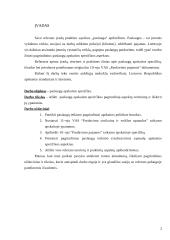 Paslaugų apskaita 2 puslapis