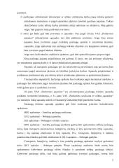 Paslaugų apskaita 5 puslapis