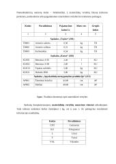 Pastovios informacijos žinynų formavimas, kompiuterizuojant materialinių vertybių apskaitą 7 puslapis