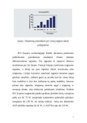 PCI Express 5 puslapis