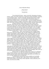 V. Mykolaitis-Putinas "Margi sakalai". Interpretacija