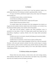 Pedagoginis tėvų švietimas mokykloje 13 puslapis