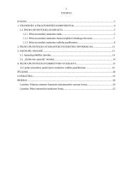 Pelno (nuostolio) ataskaita 2 puslapis