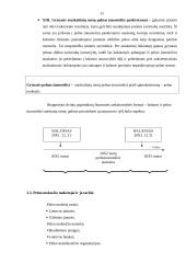 Pelno (nuostolio) ataskaita 11 puslapis