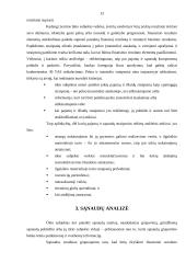 Pelno (nuostolio) ataskaita 13 puslapis