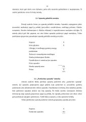 Pelno (nuostolio) ataskaita 14 puslapis